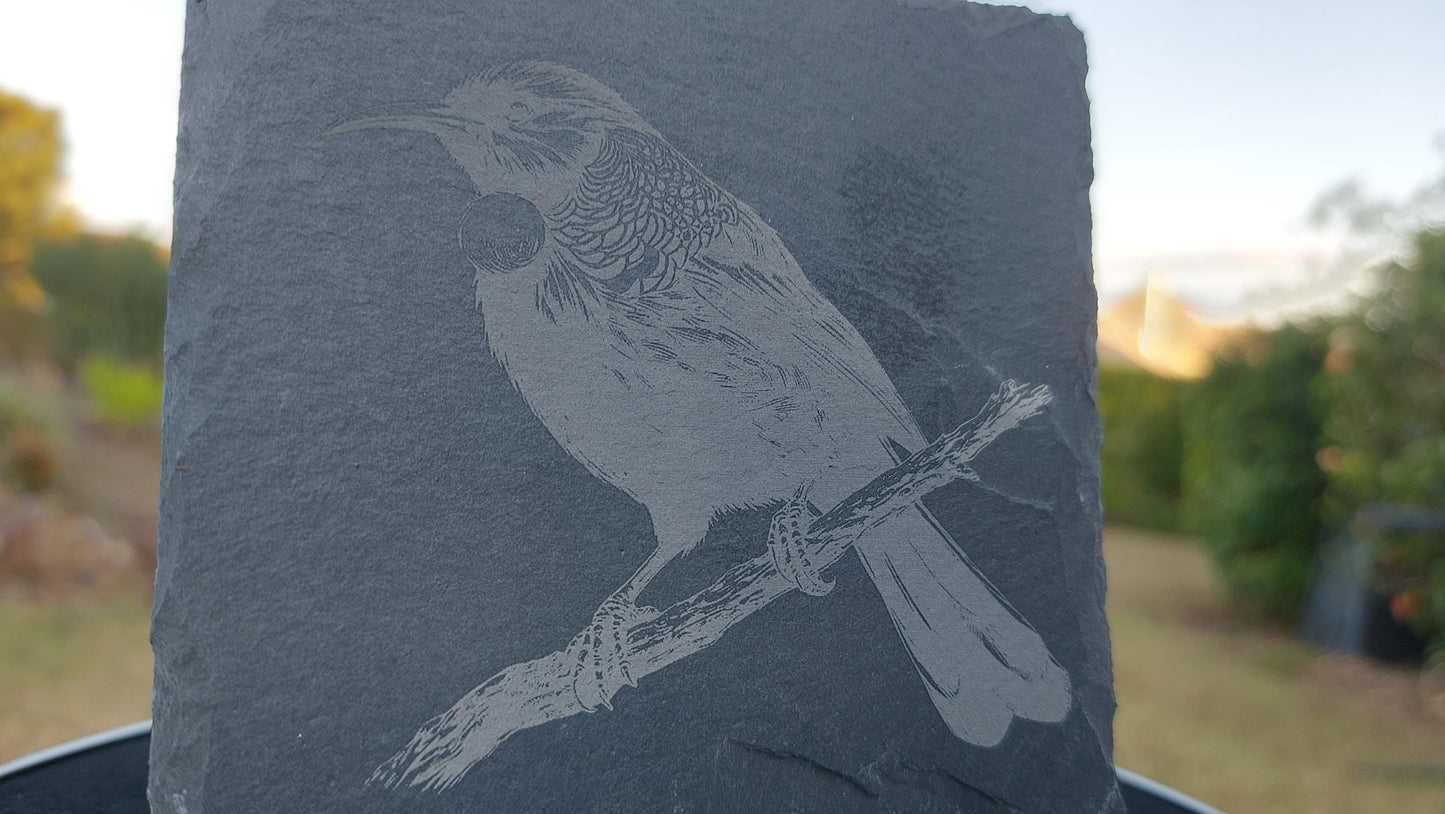 Tui - Beautiful Bird of New Zealand Laser Etched Slate Coaster - 100mm - Housewarming - Birthday - Anniversary - NZ Wildlife - Personalised
